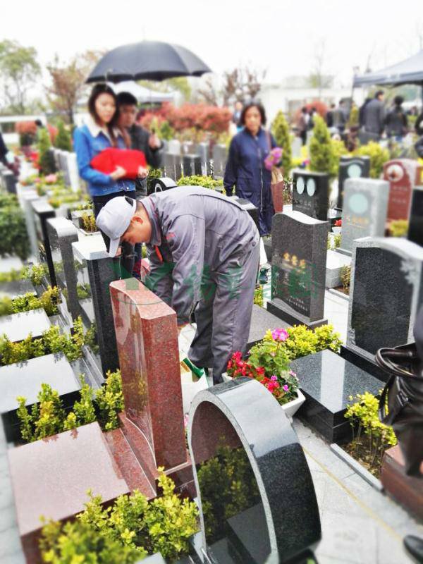 尊龙人生就是搏(中国)官方网站